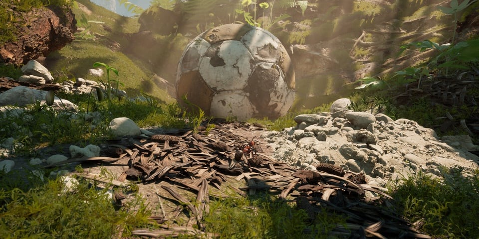 Empire of Ants environment with an old football