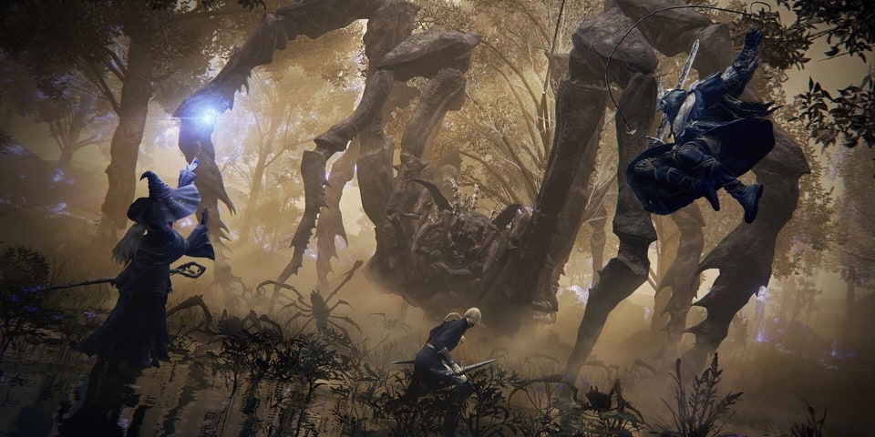 Elden Ring Nightreign giant spider